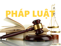 Pháp luật